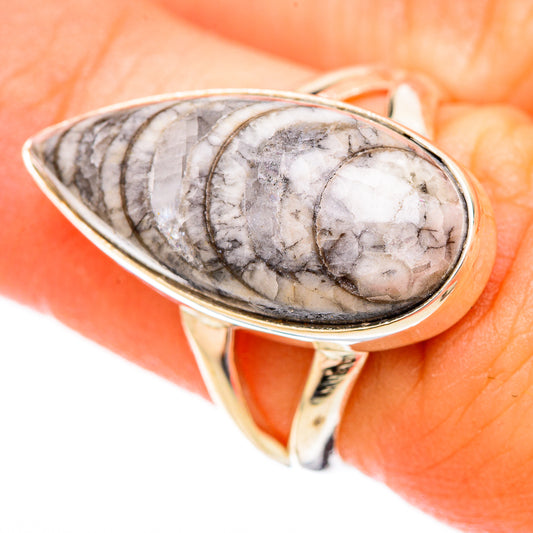 Orthoceras Fossil Rings handcrafted by Ana Silver Co - RING121669