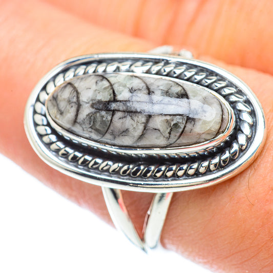 Orthoceras Fossil Rings handcrafted by Ana Silver Co - RING56523