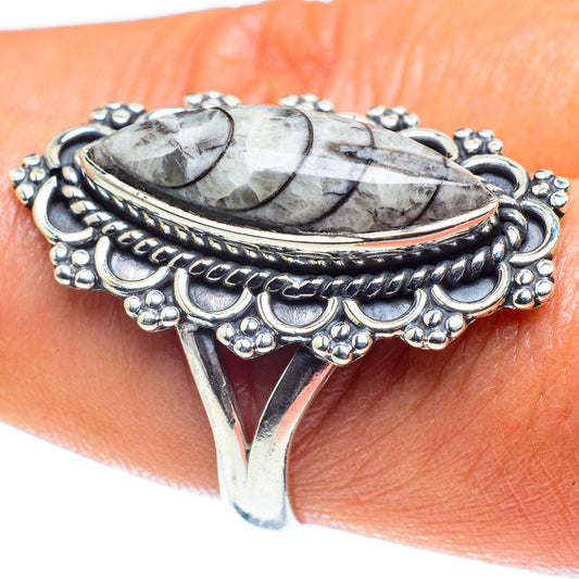 Orthoceras Fossil Rings handcrafted by Ana Silver Co - RING59379