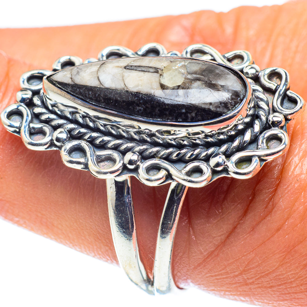Orthoceras Fossil Rings handcrafted by Ana Silver Co - RING59639