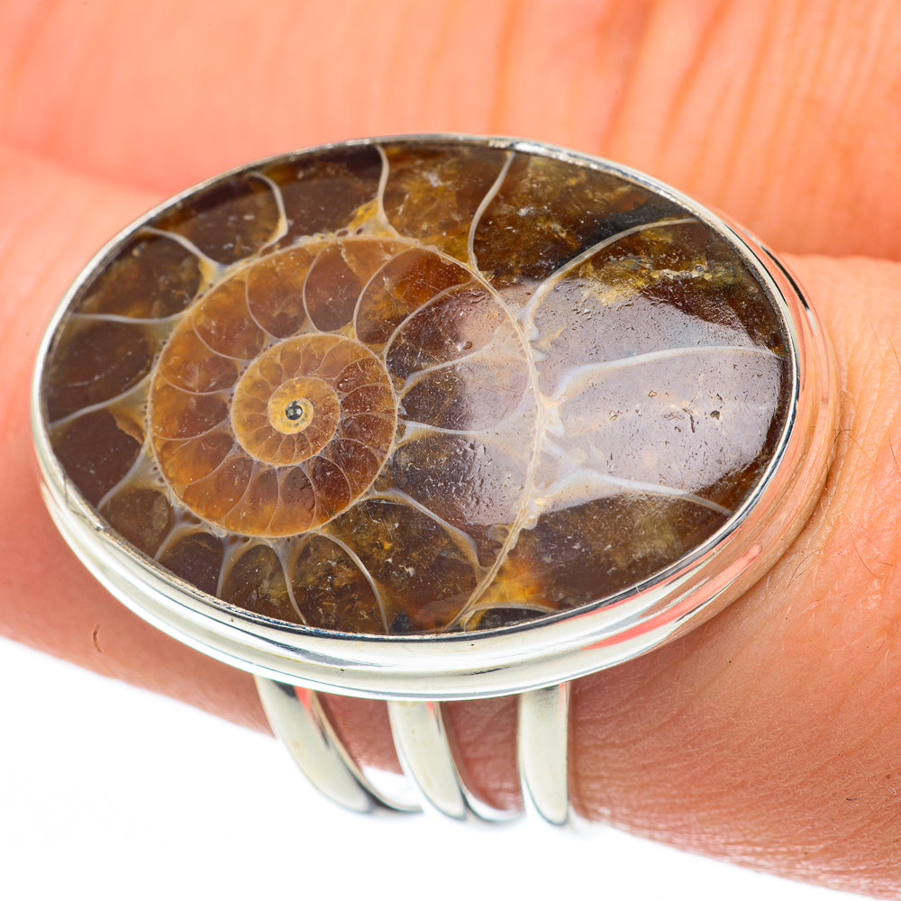 Ammonite Fossil Rings handcrafted by Ana Silver Co - RING60102