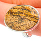 Picture Jasper Rings handcrafted by Ana Silver Co - RING60993