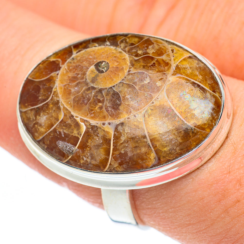 Ammonite Fossil Rings handcrafted by Ana Silver Co - RING61069