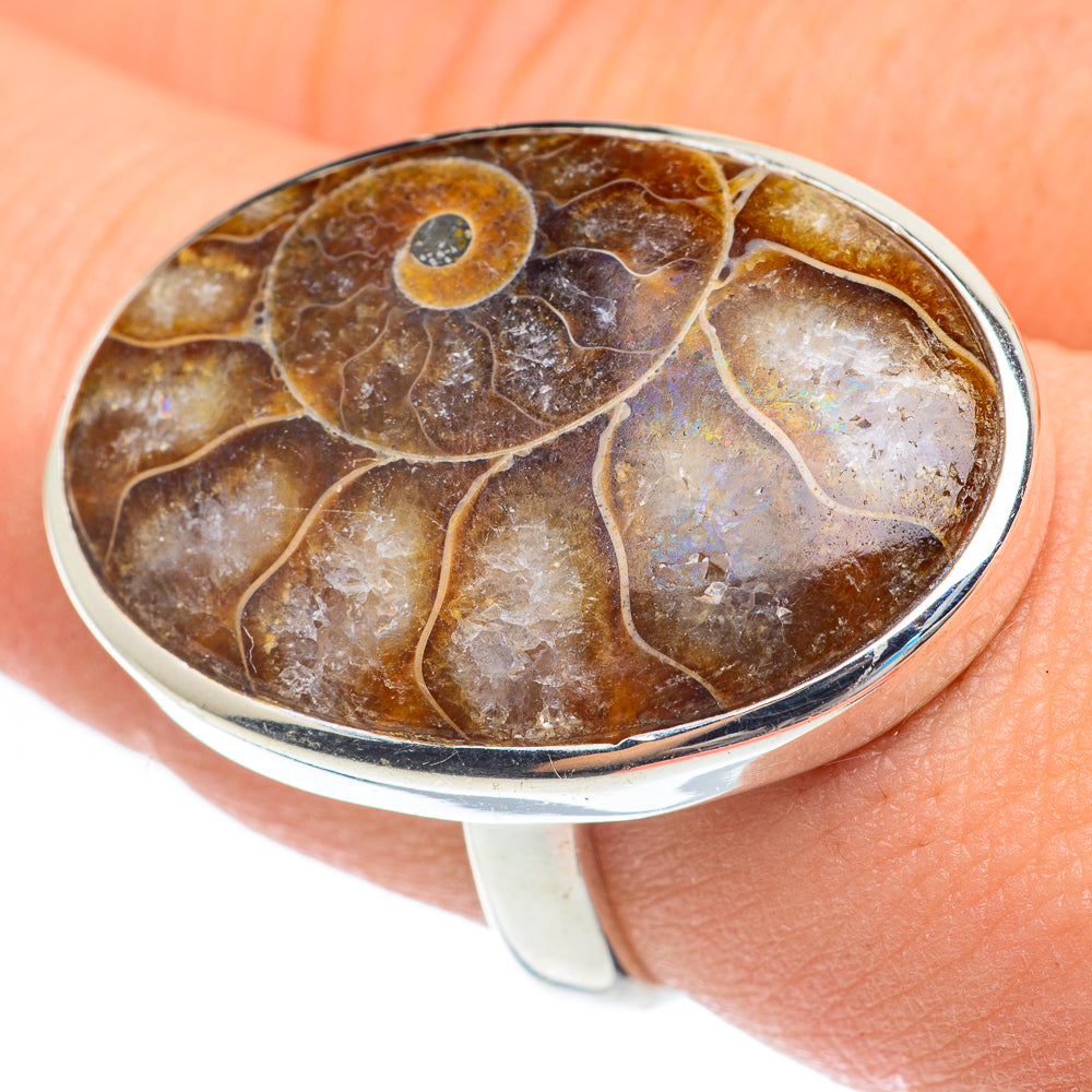 Ammonite Fossil Rings handcrafted by Ana Silver Co - RING61852