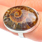 Ammonite Fossil Rings handcrafted by Ana Silver Co - RING62271