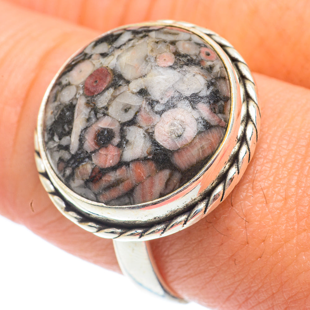 Crinoid Fossil Rings handcrafted by Ana Silver Co - RING65065