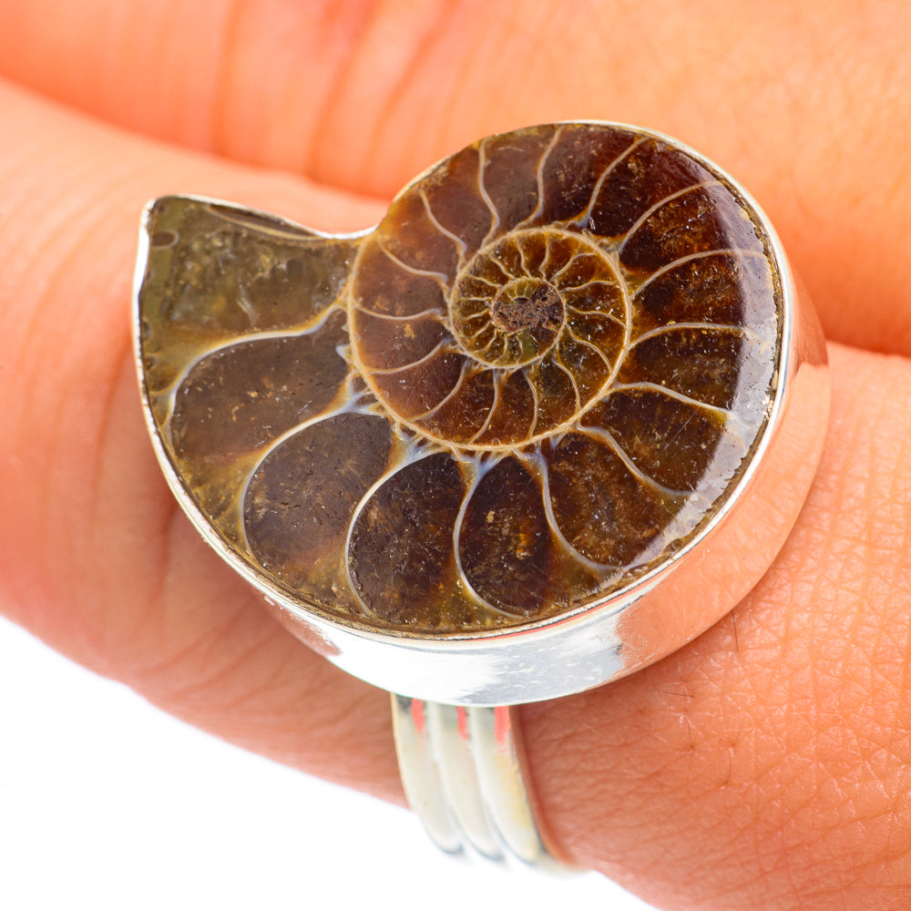 Ammonite Fossil Rings handcrafted by Ana Silver Co - RING66924
