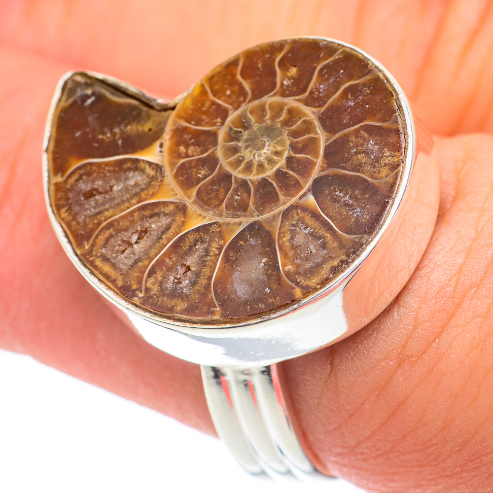 Ammonite Fossil Rings handcrafted by Ana Silver Co - RING67233