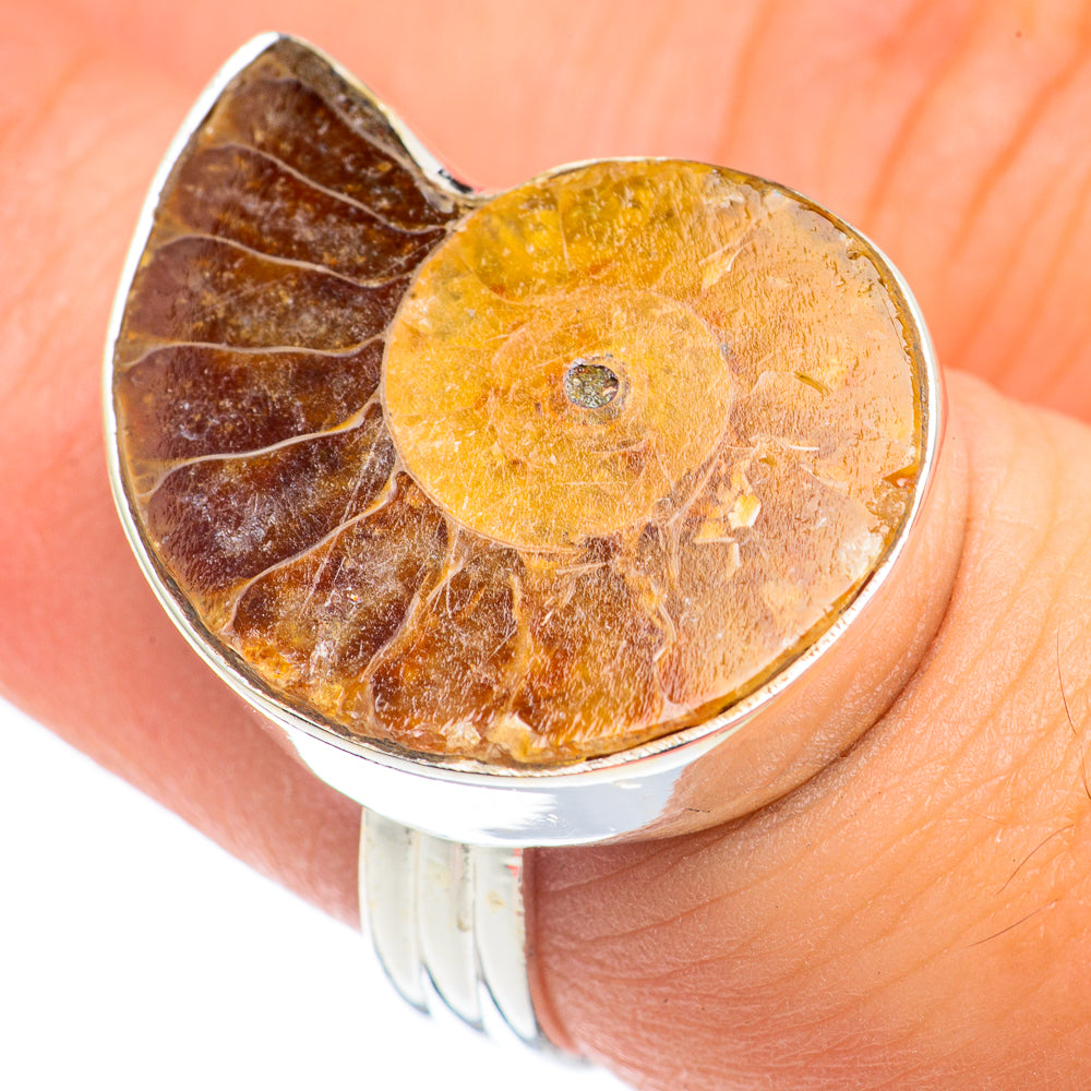 Ammonite Fossil Rings handcrafted by Ana Silver Co - RING68419