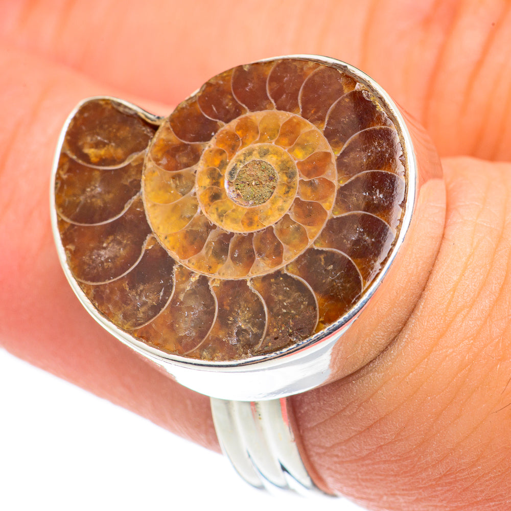 Ammonite Fossil Rings handcrafted by Ana Silver Co - RING68451