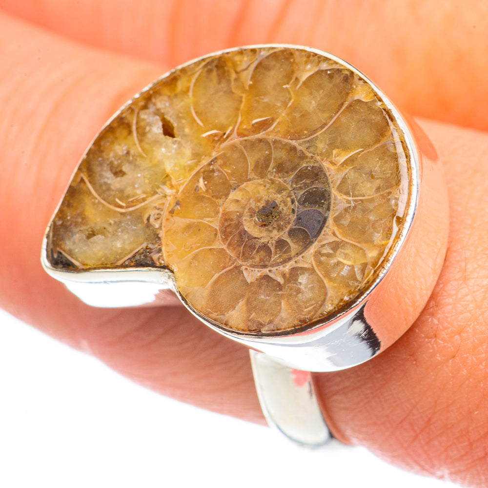 Ammonite Fossil Rings handcrafted by Ana Silver Co - RING68513