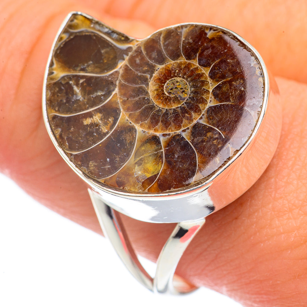 Ammonite Fossil Rings handcrafted by Ana Silver Co - RING68717