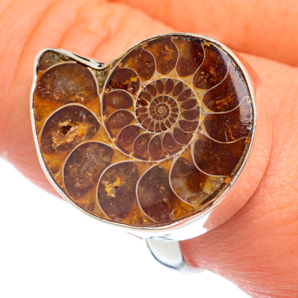 Ammonite Fossil Rings handcrafted by Ana Silver Co - RING68751