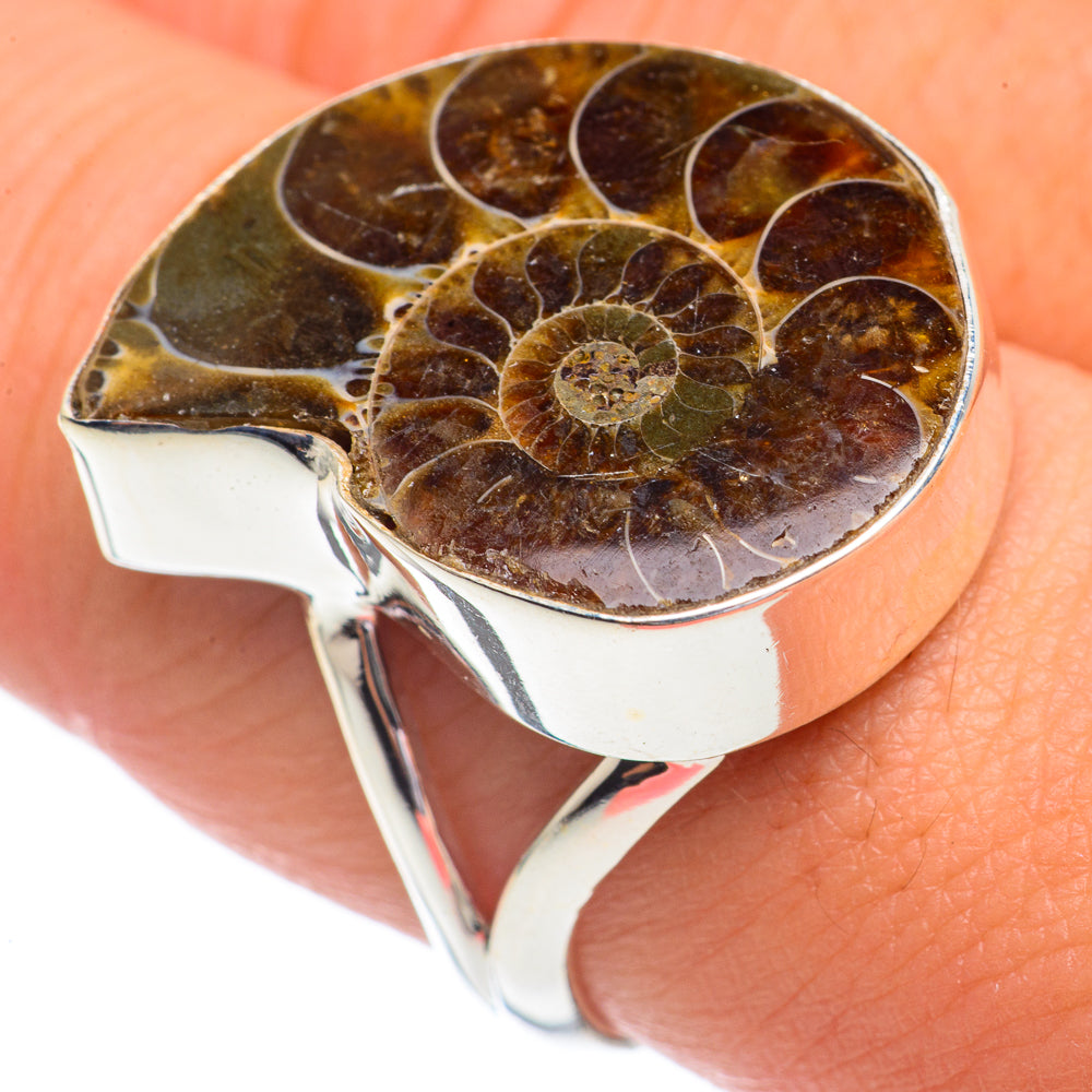 Ammonite Fossil Rings handcrafted by Ana Silver Co - RING68786