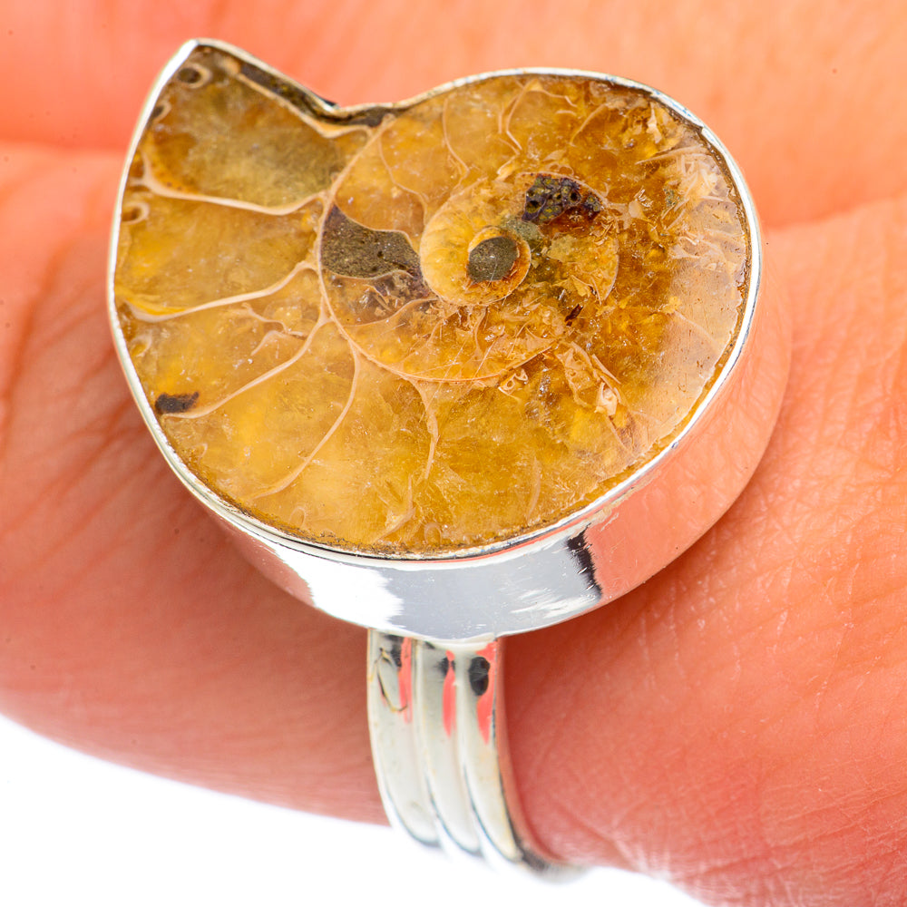 Ammonite Fossil Rings handcrafted by Ana Silver Co - RING68818
