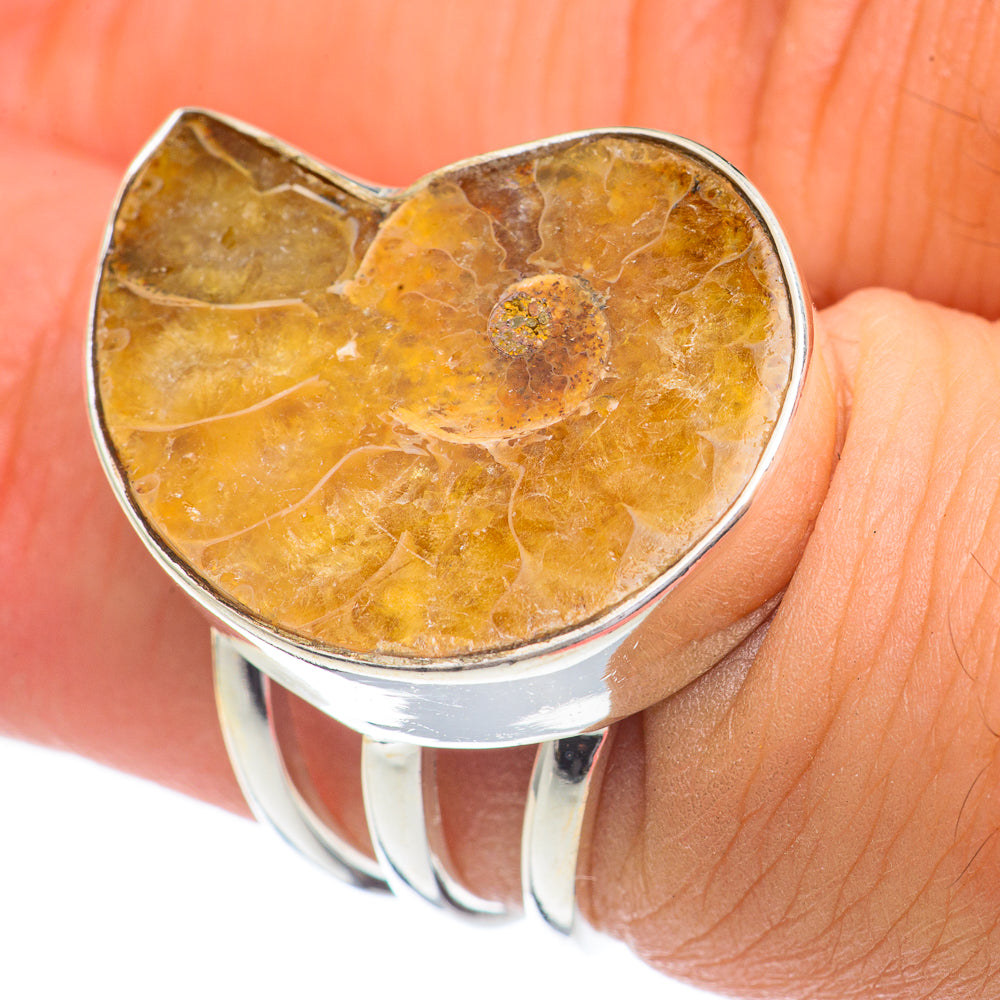 Ammonite Fossil Rings handcrafted by Ana Silver Co - RING68850