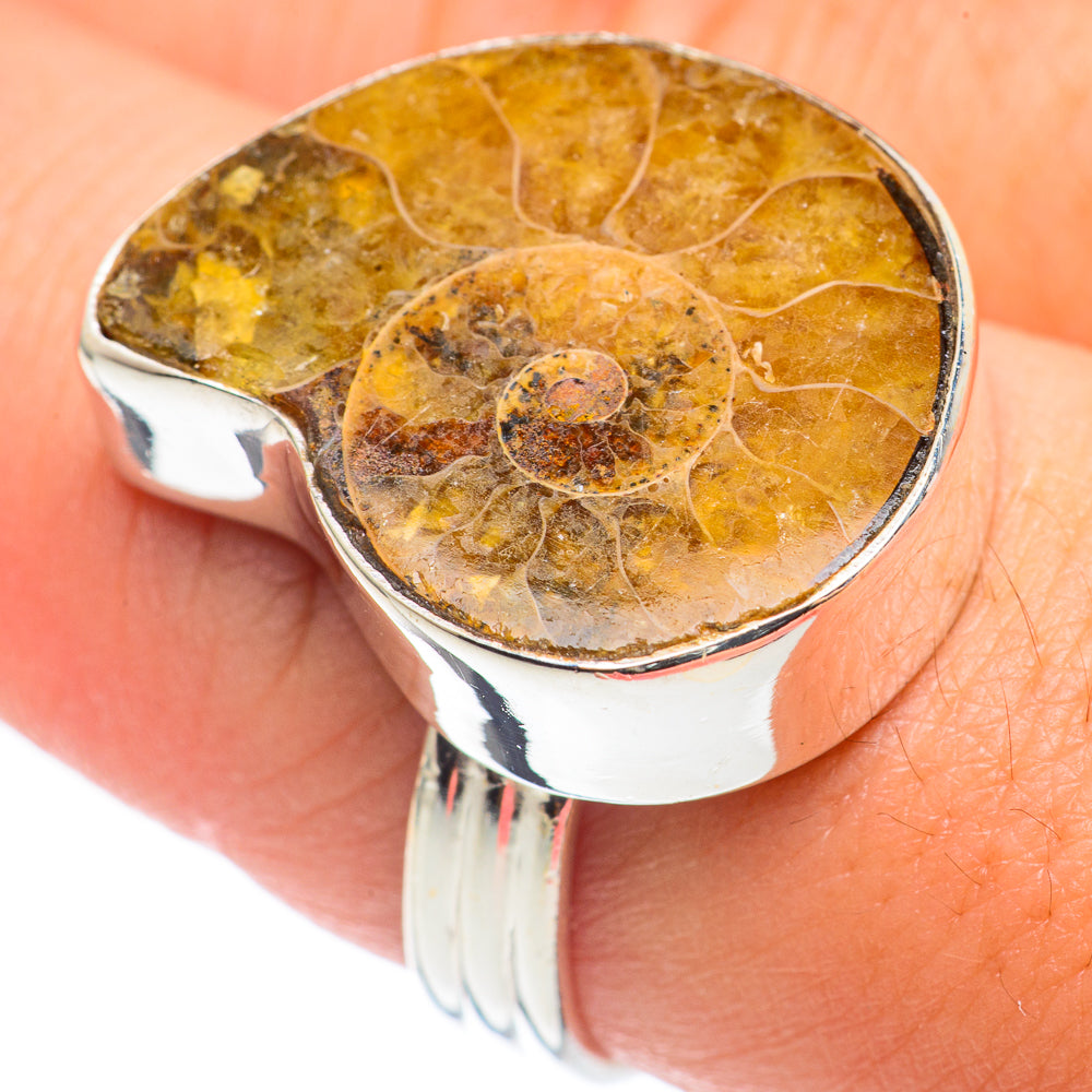 Ammonite Fossil Rings handcrafted by Ana Silver Co - RING68994