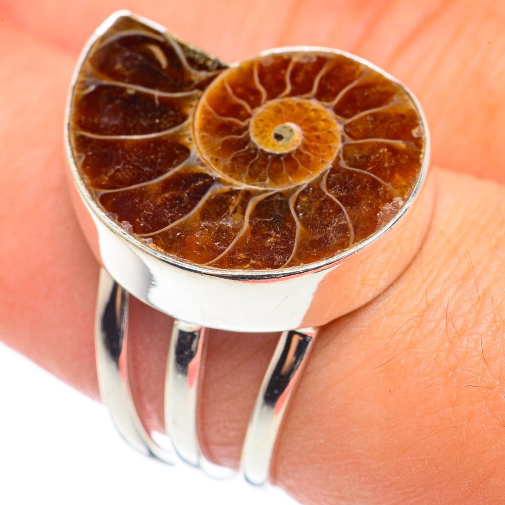 Ammonite Fossil Rings handcrafted by Ana Silver Co - RING69138