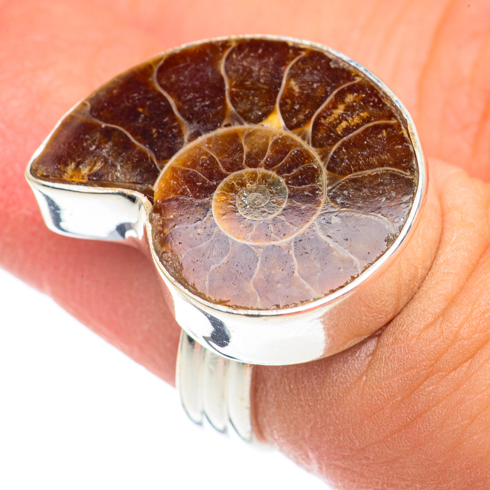 Ammonite Fossil Rings handcrafted by Ana Silver Co - RING69239