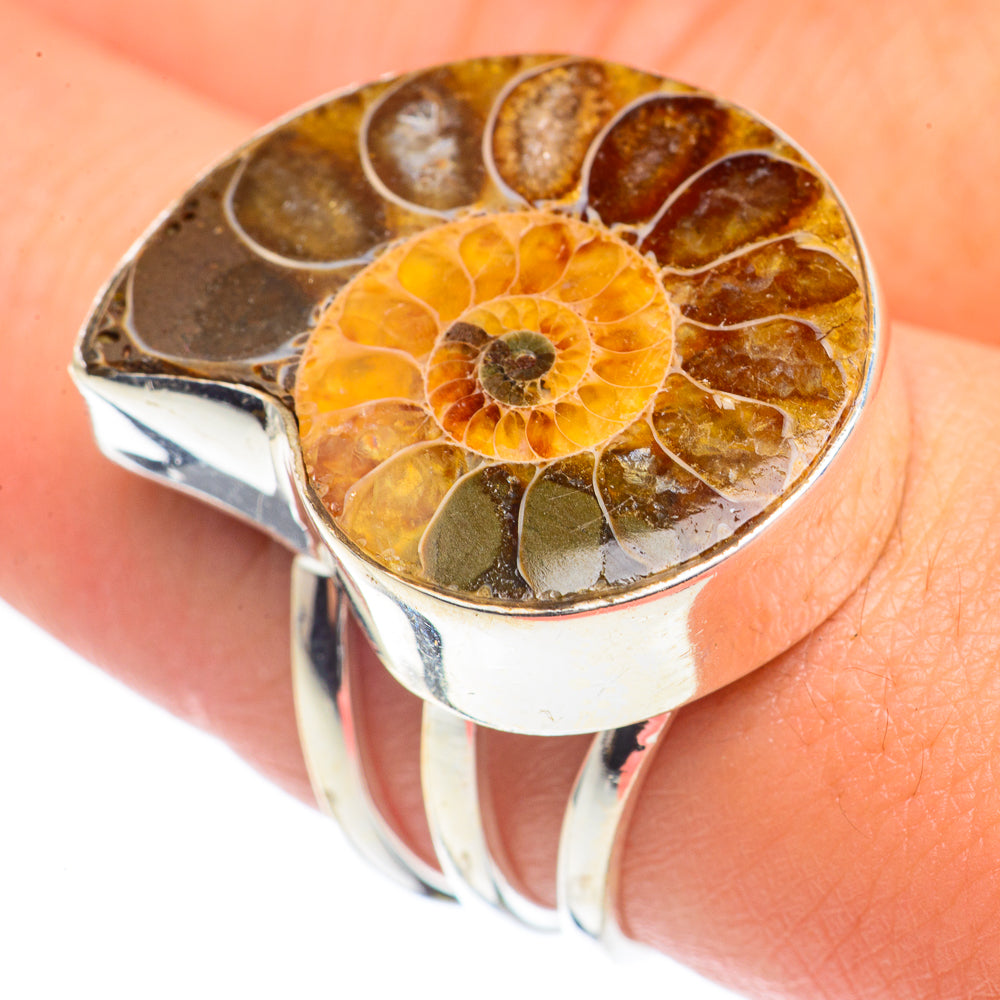 Ammonite Fossil Rings handcrafted by Ana Silver Co - RING69297