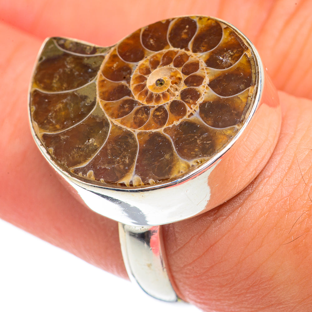 Ammonite Fossil Rings handcrafted by Ana Silver Co - RING69307