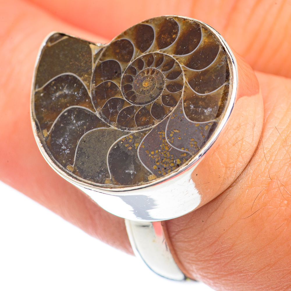 Ammonite Fossil Rings handcrafted by Ana Silver Co - RING69527