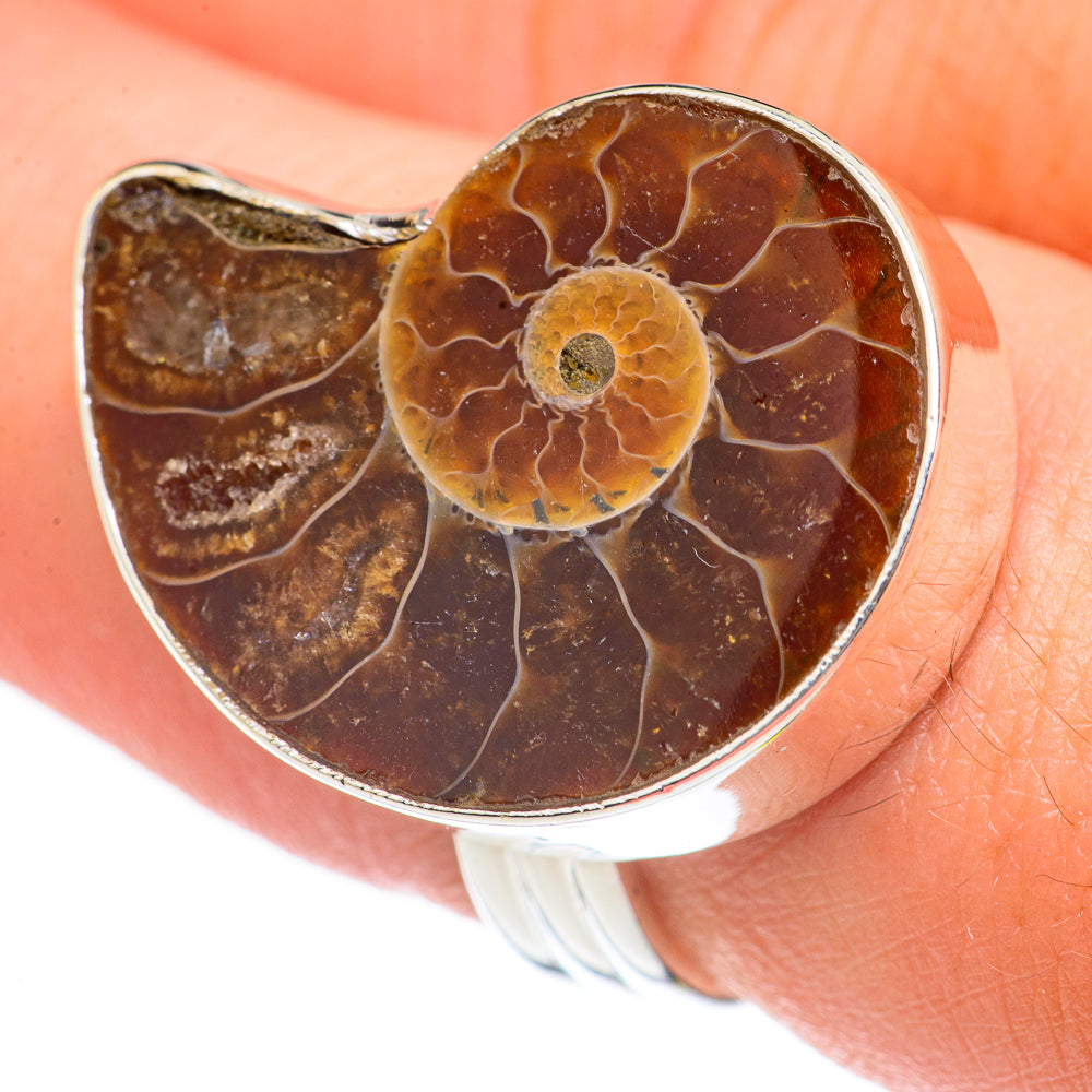 Ammonite Fossil Rings handcrafted by Ana Silver Co - RING69926