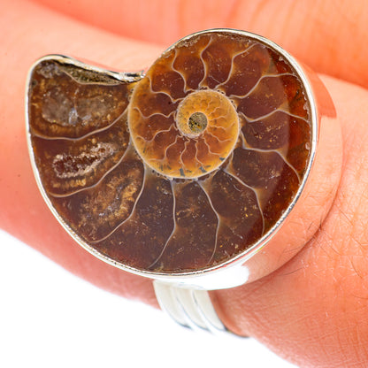 Ammonite Fossil Rings handcrafted by Ana Silver Co - RING69926
