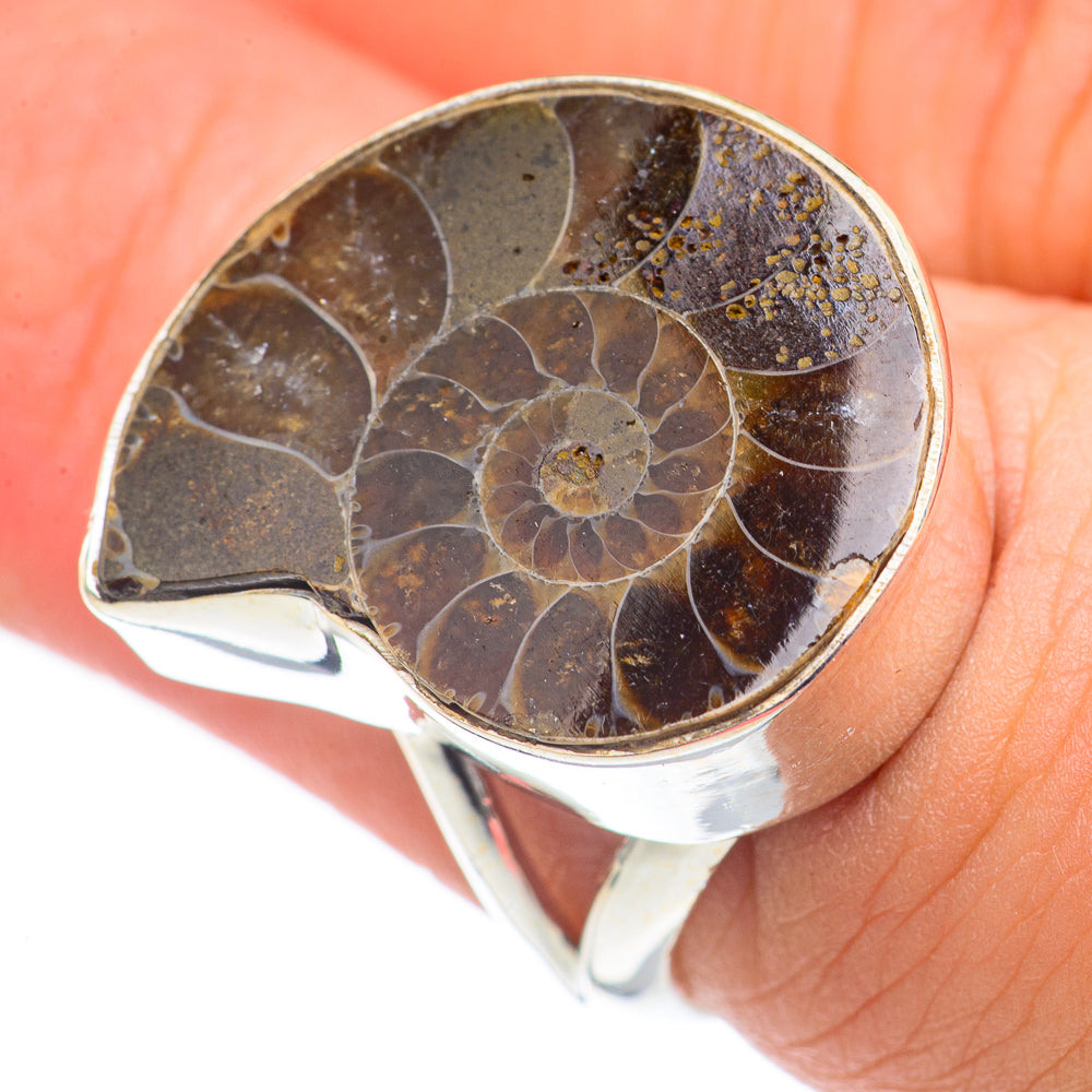 Ammonite Fossil Rings handcrafted by Ana Silver Co - RING69993