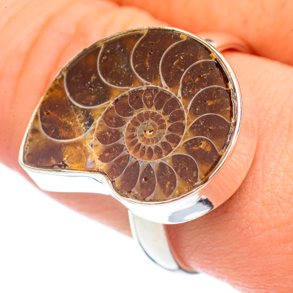 Ammonite Fossil Rings handcrafted by Ana Silver Co - RING70028