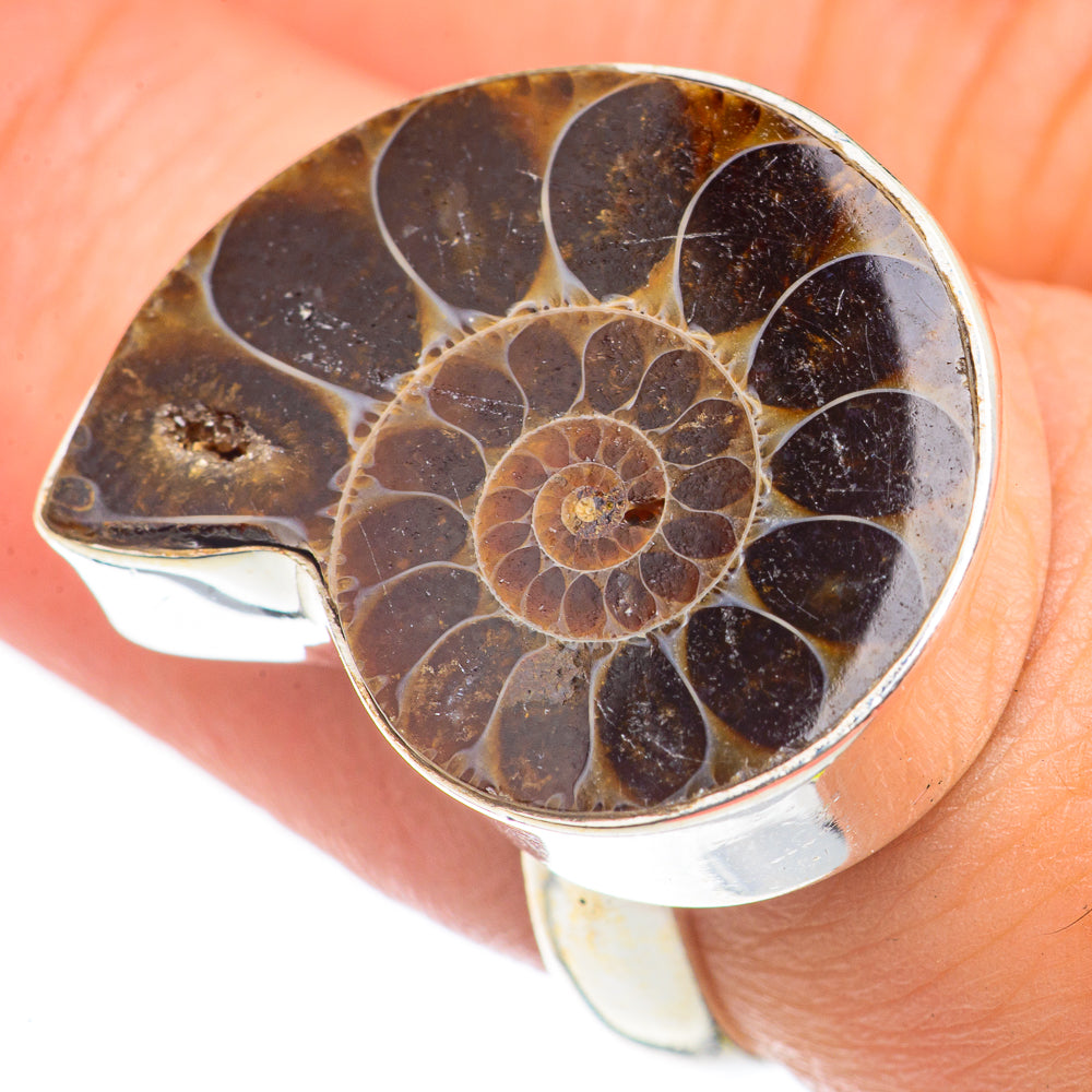 Ammonite Fossil Rings handcrafted by Ana Silver Co - RING70129