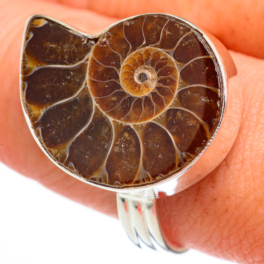 Ammonite Fossil Rings handcrafted by Ana Silver Co - RING70276