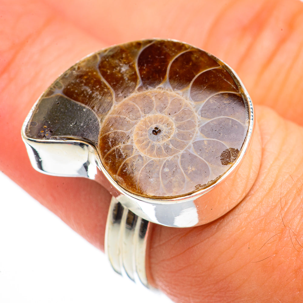 Ammonite Fossil Rings handcrafted by Ana Silver Co - RING70581
