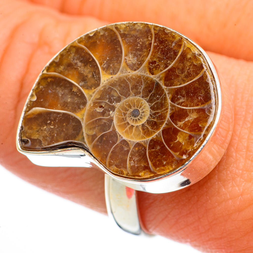 Ammonite Fossil Rings handcrafted by Ana Silver Co - RING70663