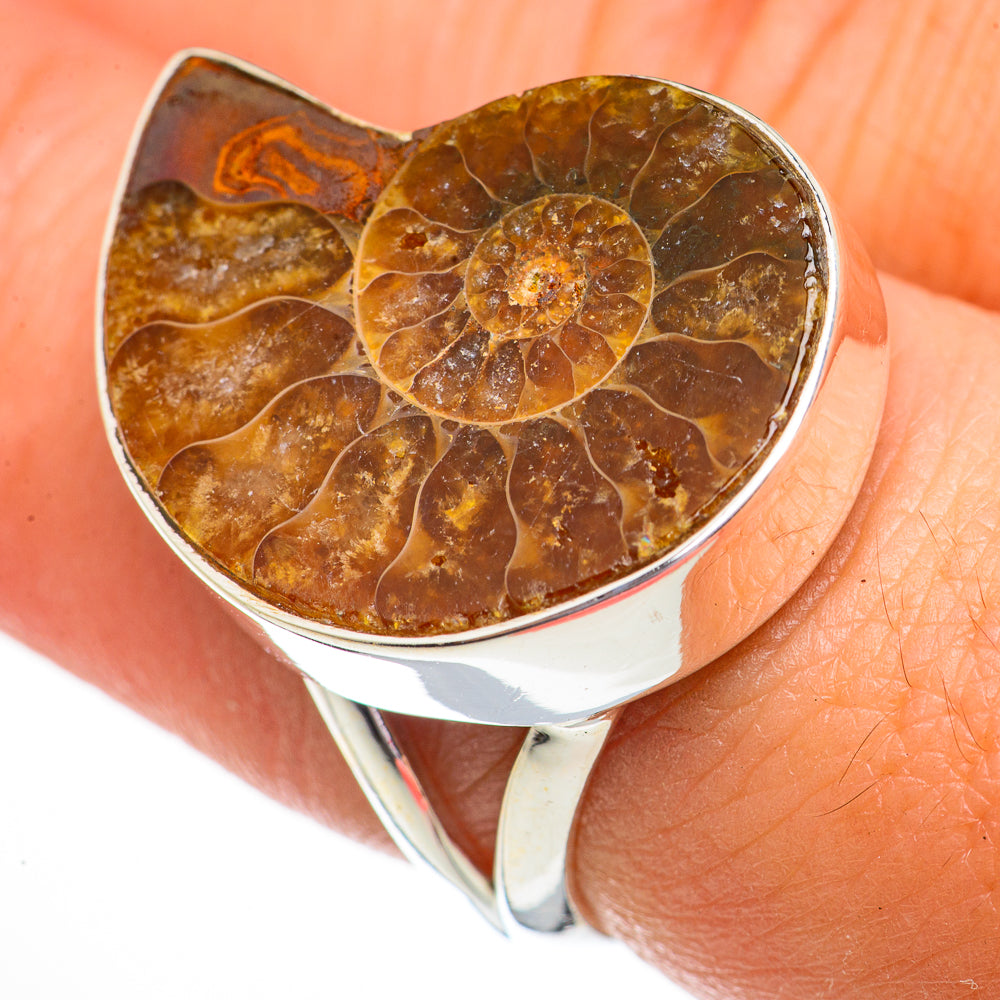 Ammonite Fossil Rings handcrafted by Ana Silver Co - RING70773
