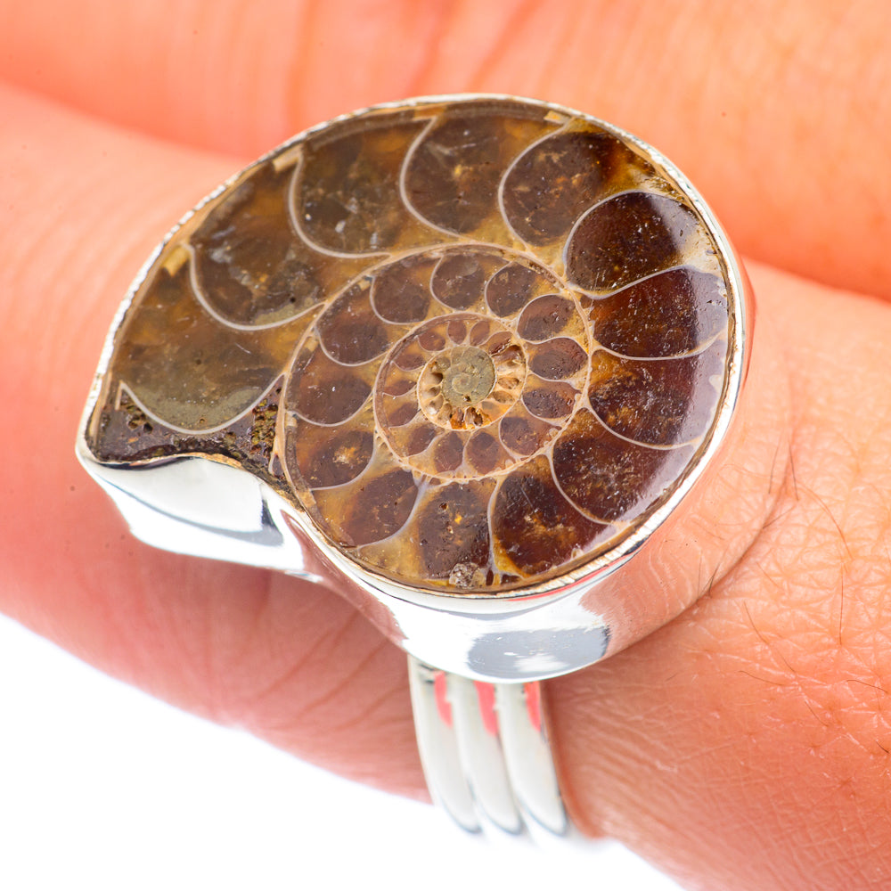 Ammonite Fossil Rings handcrafted by Ana Silver Co - RING71198