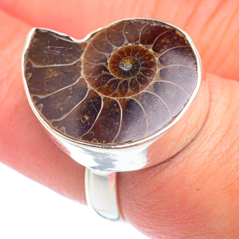 Ammonite Fossil Rings handcrafted by Ana Silver Co - RING71239