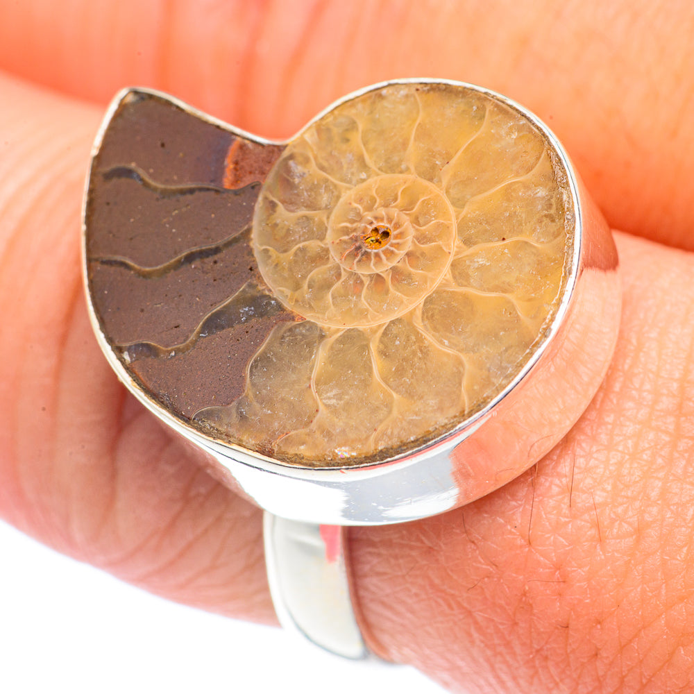 Ammonite Fossil Rings handcrafted by Ana Silver Co - RING71276