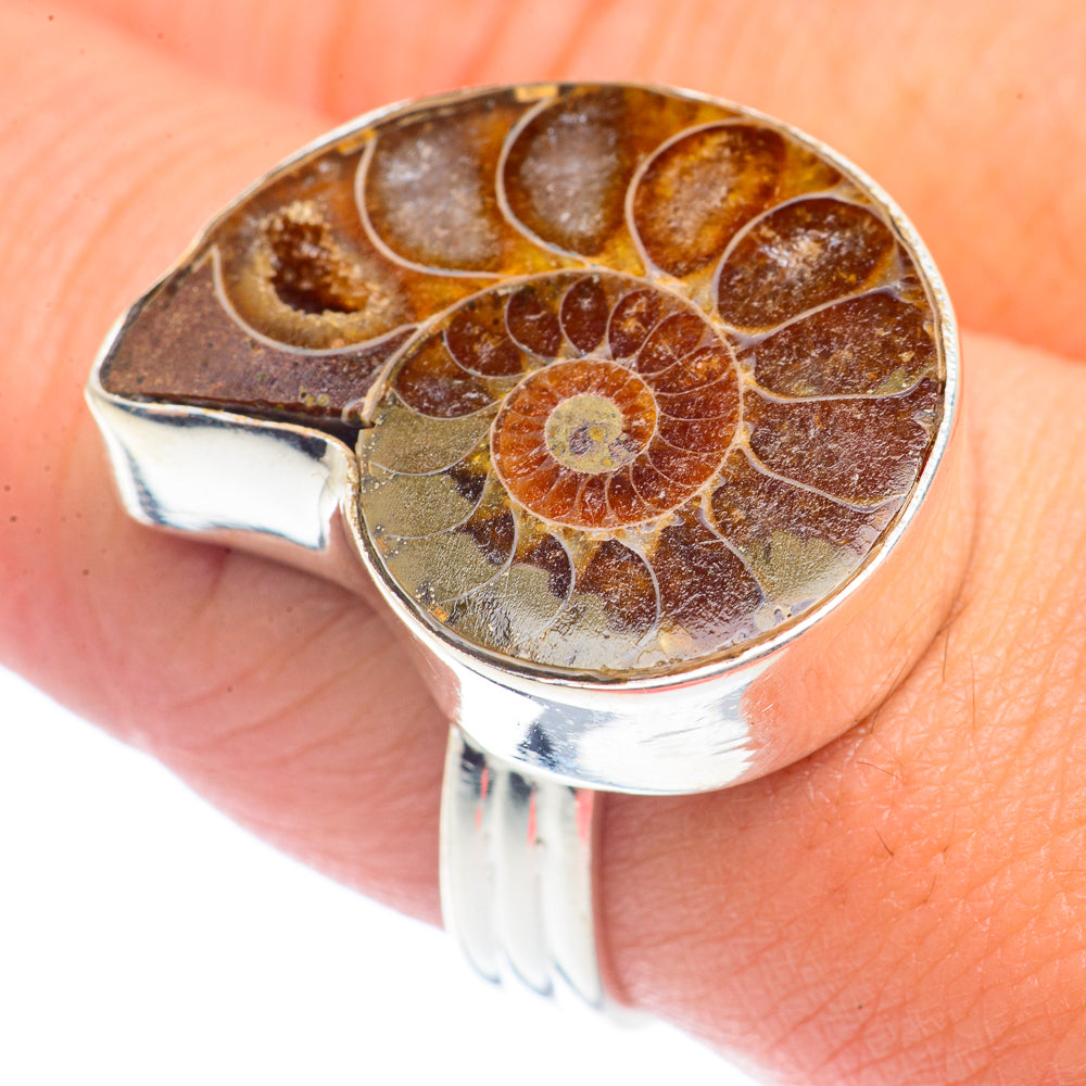 Ammonite Fossil Rings handcrafted by Ana Silver Co - RING71547