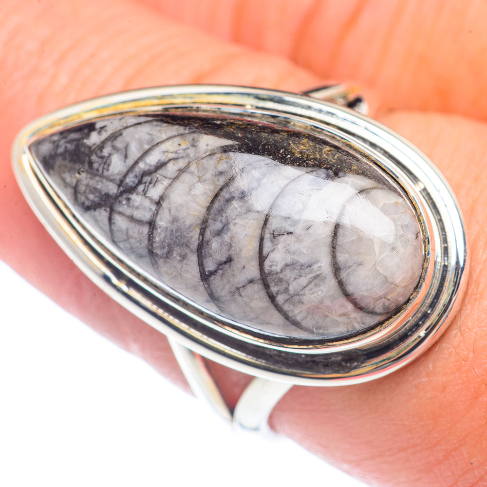 Orthoceras Fossil Rings handcrafted by Ana Silver Co - RING71679