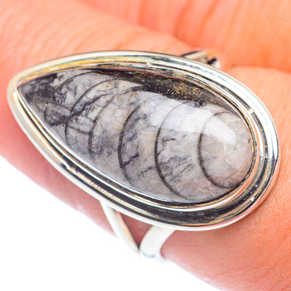 Orthoceras Fossil Rings handcrafted by Ana Silver Co - RING71679