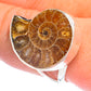 Ammonite Fossil Rings handcrafted by Ana Silver Co - RING71780