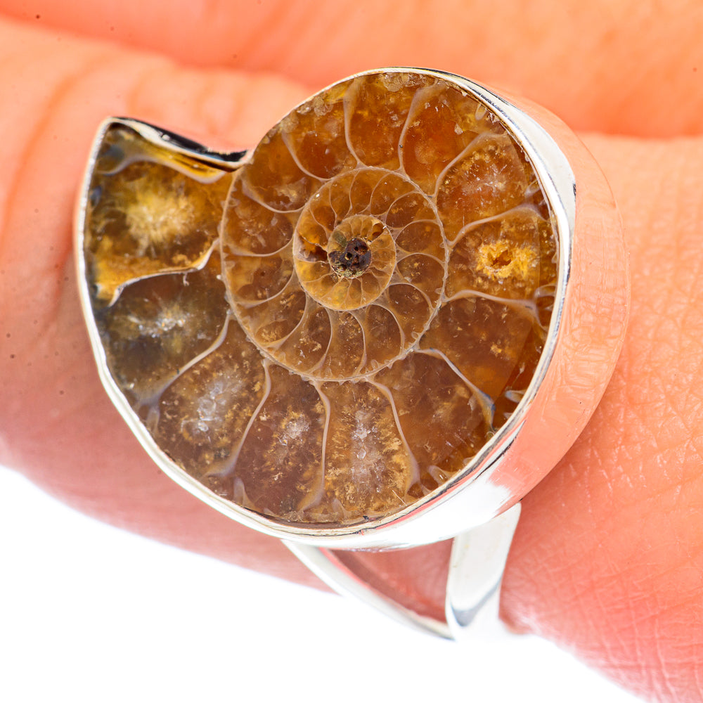 Ammonite Fossil Rings handcrafted by Ana Silver Co - RING71780