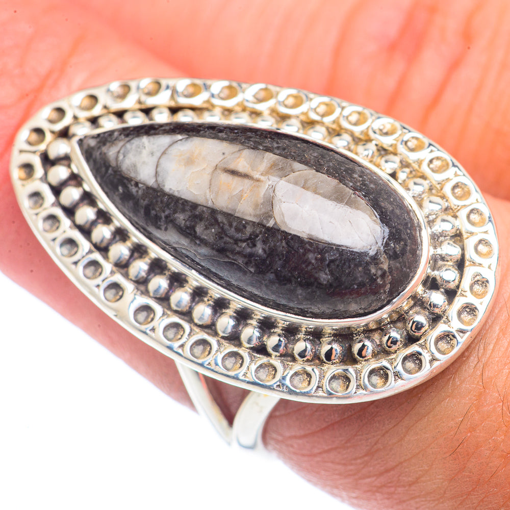 Orthoceras Fossil Rings handcrafted by Ana Silver Co - RING71794