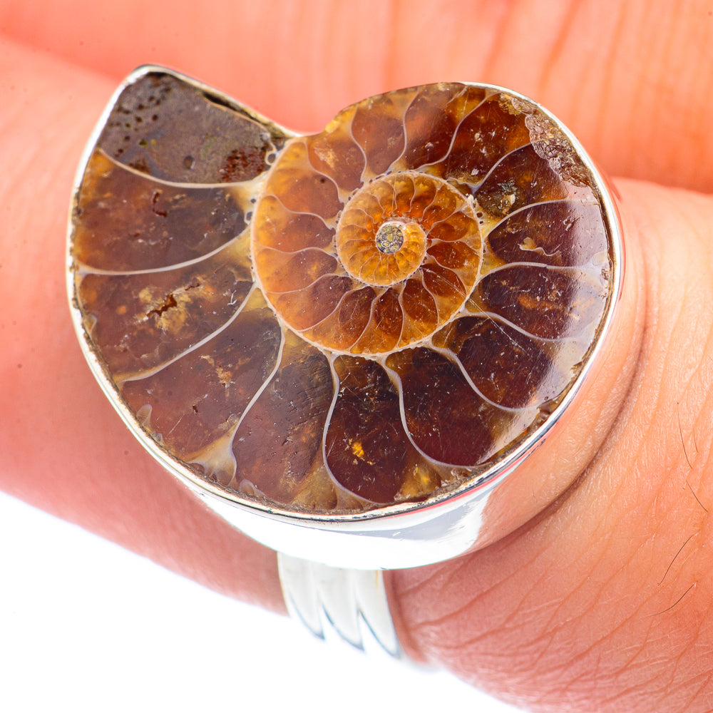 Ammonite Fossil Rings handcrafted by Ana Silver Co - RING71863