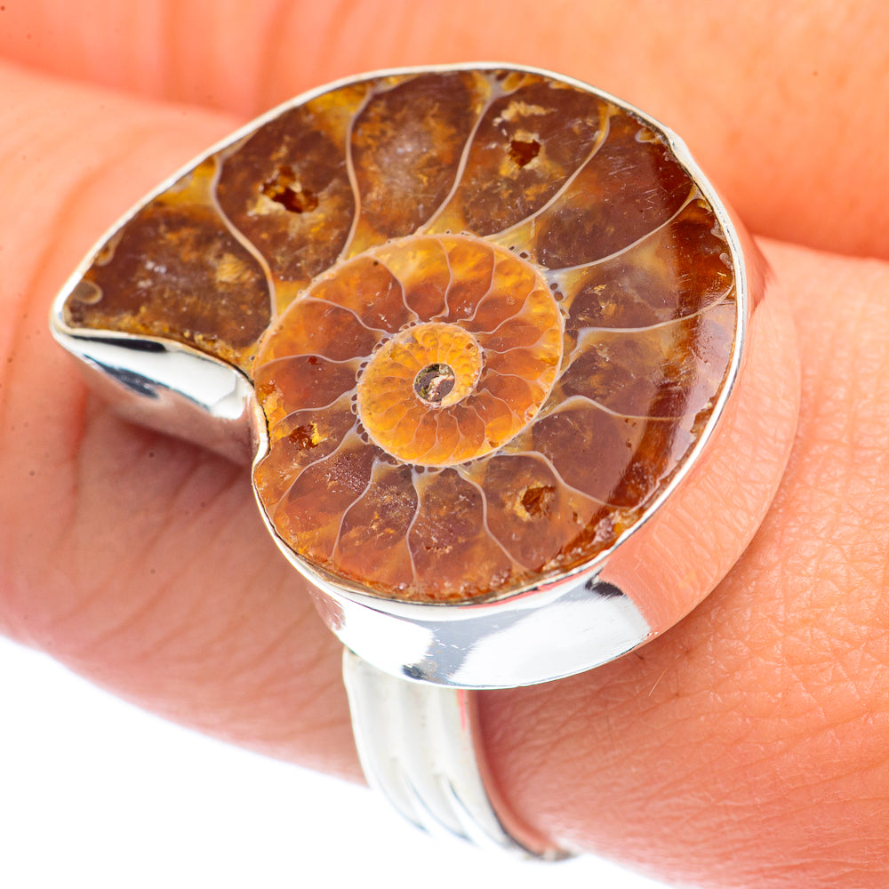 Ammonite Fossil Rings handcrafted by Ana Silver Co - RING72005