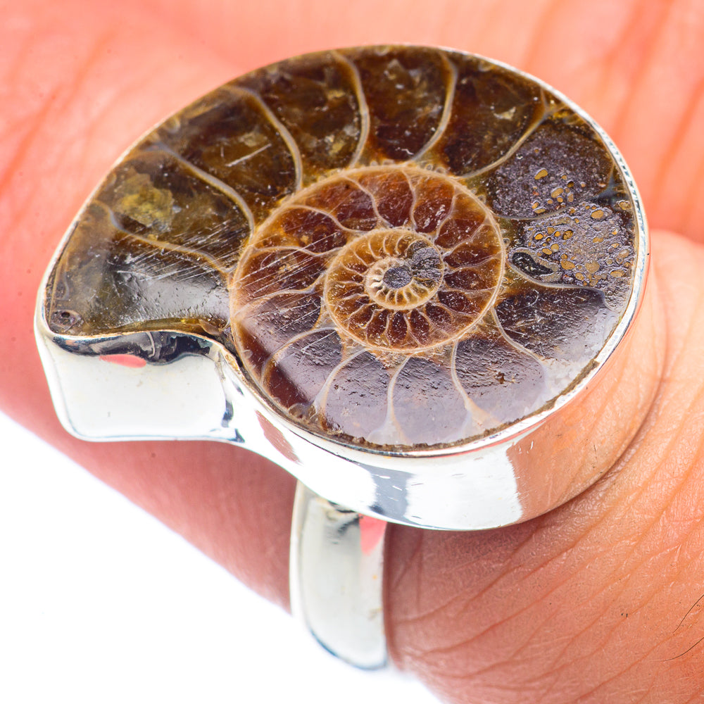 Ammmonite Fossil Rings handcrafted by Ana Silver Co - RING72042