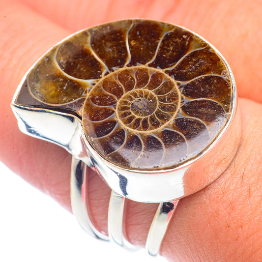 Ammonite Fossil Rings handcrafted by Ana Silver Co - RING72098