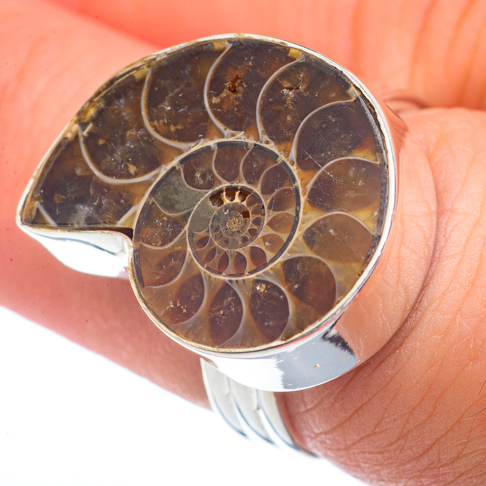 Ammonite Fossil Rings handcrafted by Ana Silver Co - RING72195