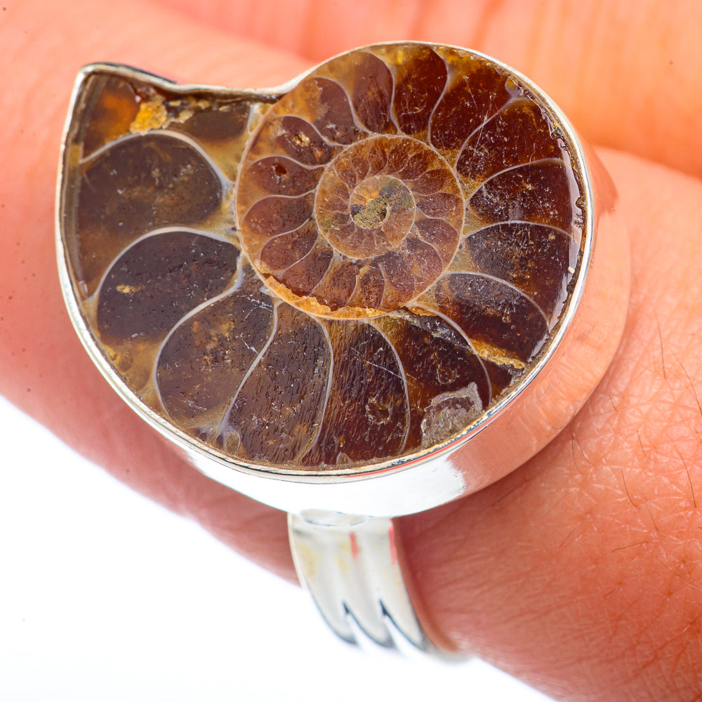 Ammonite Fossil Rings handcrafted by Ana Silver Co - RING72235